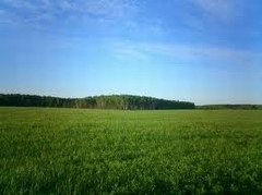 Бизнес хочет снизить кадастровую стоимость земли в 4,5 раз