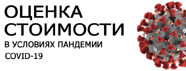 Методические и организационные вопросы оценочной деятельности в условиях пандемии
