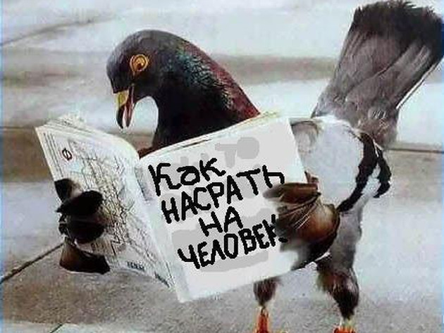 Как невидеть сообщения тех кто не хочет видеть моих сообщений.