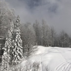 Дарья Николаевна Карнаухова