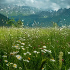 Алена Анатольевна Анисимова